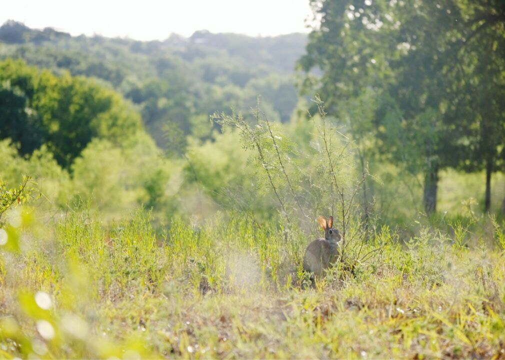 #44. Brooks County, Texas